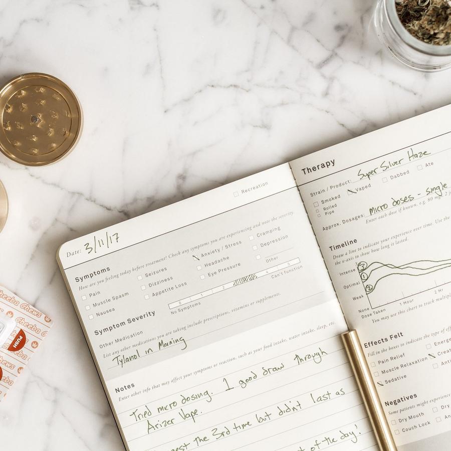 Goldleaf Patient Journal