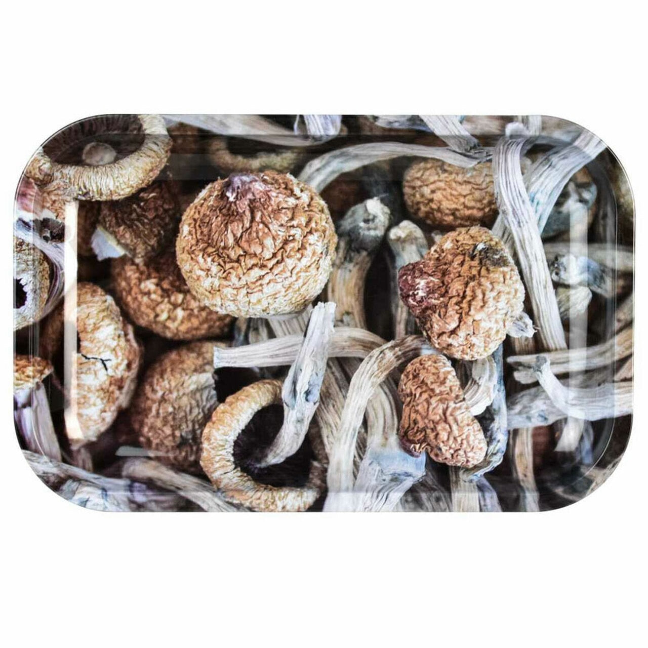 Mushroom Cap Tray
